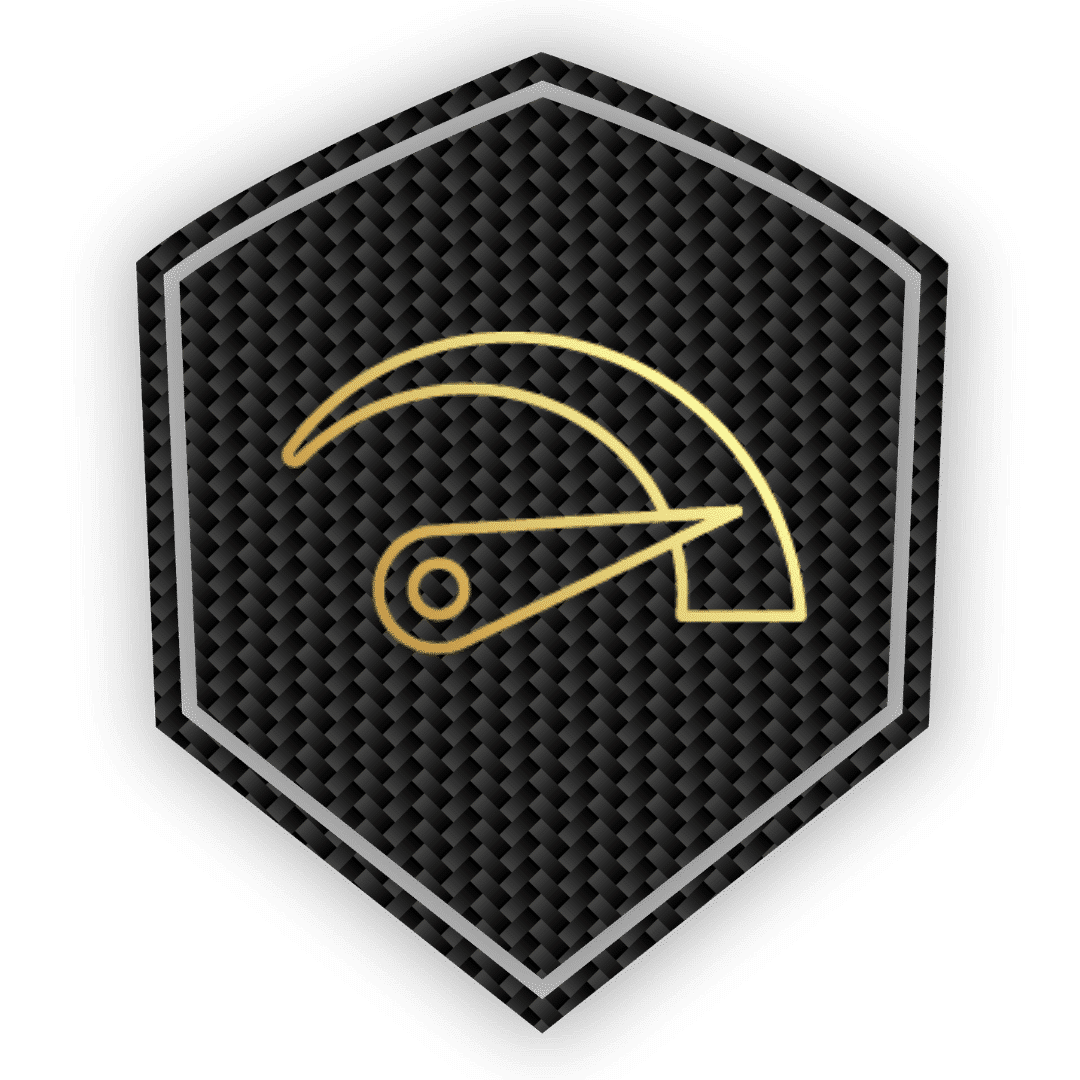 Icon Max Speed 25 Km/h Revolt E-Bike Carbon