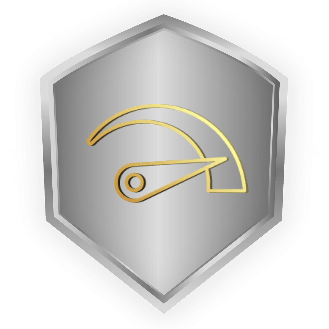 Icon Max Speed 25 Km/h Revolt E-Bike Aluminium