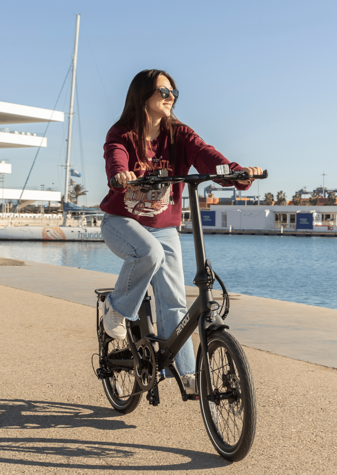 Revolt Carbon Fiber Pro V5, Low Step Frame, Belt Drive, Matt Black, Male