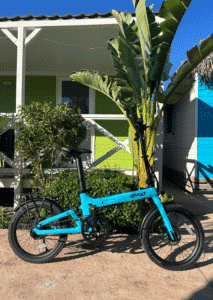 Revolt Carbon Fiber Pro V2 Belt Drive E-Bike, Rear Suspension, Azure Blue